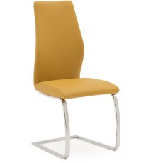 Bari Carter Dining Chair - Pumpkin