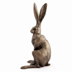 Sitting Hare Medium