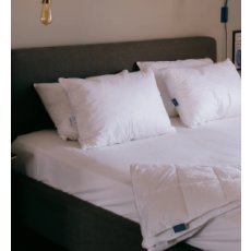 Norfolk 5* Hotel Collection - Duck Feather & Down Pair of Pillows