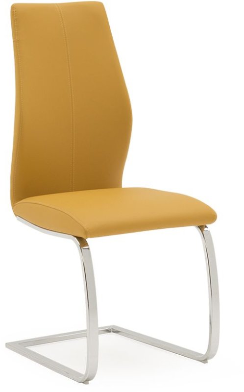 Bari Carter Dining Chair - Pumpkin Bari Carter Dining Chair - Pumpkin