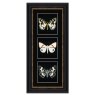 White Butterflies White Butterflies