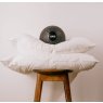 Norfolk 5* Hotel Collection - Hollowfibre Pair of Pillows Norfolk 5* Hotel Collection - Hollowfibre Pair of Pillows